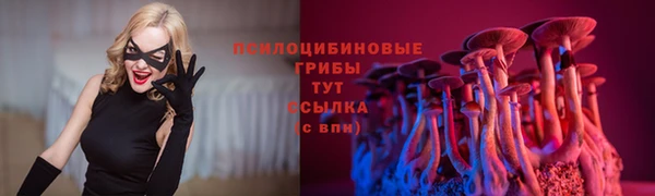 трава Бугульма