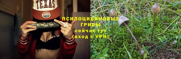 марки lsd Бородино