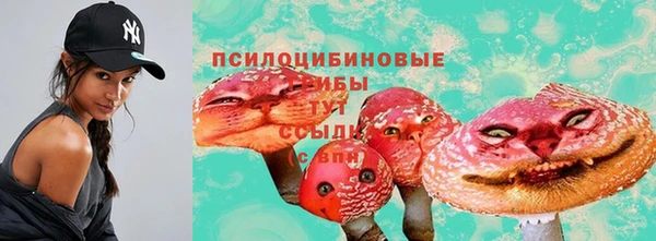марки lsd Бородино