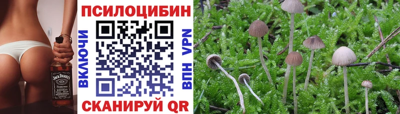 Псилоцибиновые грибы Psilocybe  даркнет сайт  маркетплейс наркотические препараты  Мелеуз 